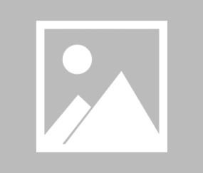 开云-前锋变铁闸！莱万防守制胜，美国队惨遭战术降维打击，莱万化身防守铁闸，美国队遭降维打击饮恨败北